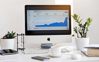 中毒王爷追妻的小说